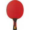 Ракетка для н/т DOUBLE FISH 7A+C, для професс.,ITTF Appr.,накл.2,1мм,+ 2 мяча V40+мм ITTF Appr за 3&nbsp;559.80 ₽ купить в Кургане
