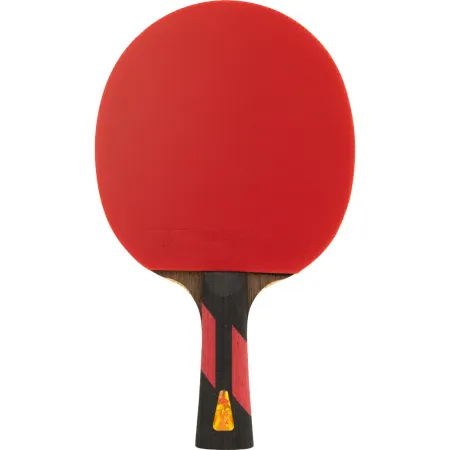 Ракетка для н/т DOUBLE FISH 7A+C, для професс.,ITTF Appr.,накл.2,1мм,+ 2 мяча V40+мм ITTF Appr за 3&nbsp;559.80 ₽ купить в Кургане