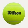Мяч для падела Wilson Premier Padel, WR8908401001, уп.3 шт, FIP Approved, войлок, нат.резина,желтый за 1&nbsp;198.50 ₽ купить в Кургане