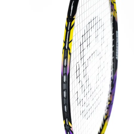 Ракетка бадм. TORRES Carbon PRO6, BD20521,для продв., стерж/обод из карбона,со струнами, фиол за 4&nbsp;477.80 ₽ купить в Кургане