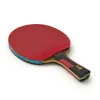 Ракетка для н/т DOUBLE FISH 7A+C, для професс.,ITTF Appr.,накл.2,1мм,+ 2 мяча V40+мм ITTF Appr за 3&nbsp;559.80 ₽ купить в Кургане
