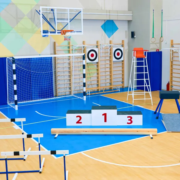 Щит для метания навесной на шведскую стенку (фанера) 700х700 ZAVODSPORTA за 8&nbsp;960 ₽ в Кургане