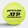 Мяч теннисный Dunlop ATP Championship 4B, 601627, уп.4ш, одобр. ITF, нат.резина,фетр. за 1&nbsp;242.70 ₽ купить в Кургане