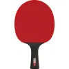 Ракетка для н/т DOUBLE FISH Black Carbon King Racket 5*****, для професс.,ITTF Appr.,накл.2,1,мм за 6&nbsp;434.50 ₽ купить в Кургане