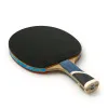Ракетка для н/т DOUBLE FISH 5A+C, для продвин, ITTF Appr, накл. 2,1 мм, конич. ручка+ 2 мяча V40+мм за 2&nbsp;779.50 ₽ купить в Кургане