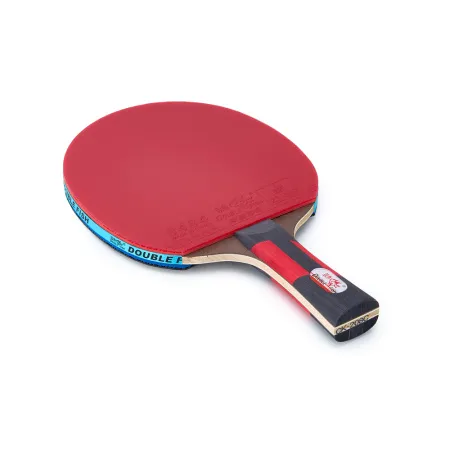 Ракетка для н/т DOUBLE FISH CK-208, для любителй, ITTF,наклад. 2,2 мм, конич. ручка + сумка-чехол за 2&nbsp;004.30 ₽ купить в Кургане