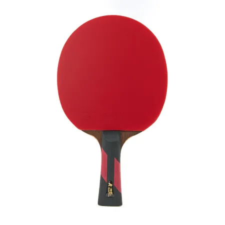 Ракетка для н/т DOUBLE FISH 7A+C, для професс.,ITTF Appr.,накл.2,1мм,+ 2 мяча V40+мм ITTF Appr за 3&nbsp;559.80 ₽ купить в Кургане