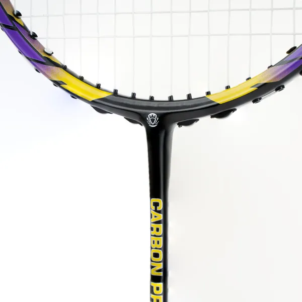 Ракетка бадм. TORRES Carbon PRO6, BD20521,для продв., стерж/обод из карбона,со струнами, фиол за 4&nbsp;477.80 ₽ в Кургане
