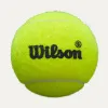 Мяч для падела Wilson Premier Padel Speed, WR8908501001, уп.3 шт, FIP Appr.,сукно, нат.резина,желтый за 1&nbsp;235.90 ₽ купить в Кургане