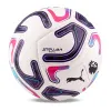 Мяч футб. PUMA Stellar Goal PL Reactivity, 08519301, р.5, 16п, ТПУ, маш. сш, бело-фиолетово-розовый за 6&nbsp;291.70 ₽ купить в Кургане